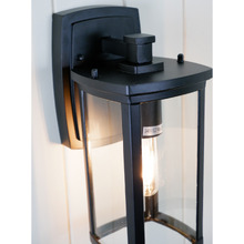 Black Remon Outdoor Wall Light